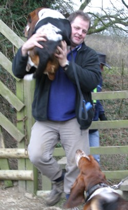 Mark carrying basset hound